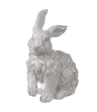 Rabbit Curley Hair Sitting With Right Ear and Right Paw Up