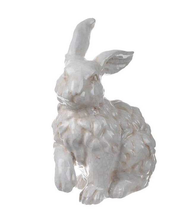 Rabbit Curley Hair Sitting With Right Ear and Right Paw Up