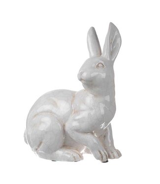 Rabbit Sitting Looking Over Right Shoulder