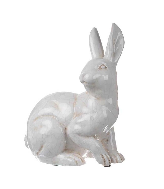 Rabbit Sitting Looking Over Right Shoulder