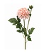 24" Garden Dahlia Spray+Bud
