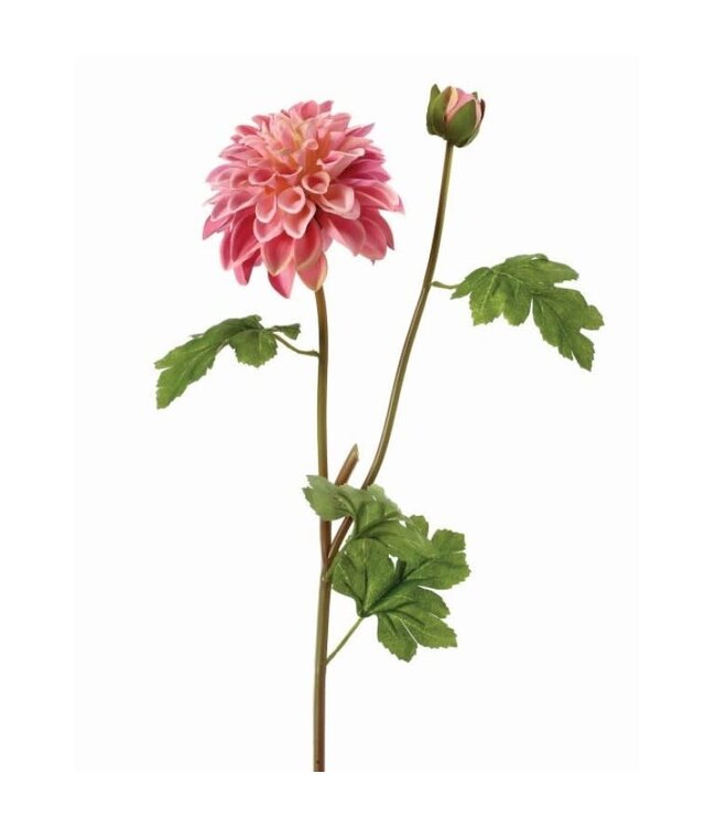 24" Garden Dahlia Spray+Bud