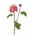 24" Garden Dahlia Spray+Bud