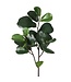 28" PU Baby Fiddle Leaf Spray