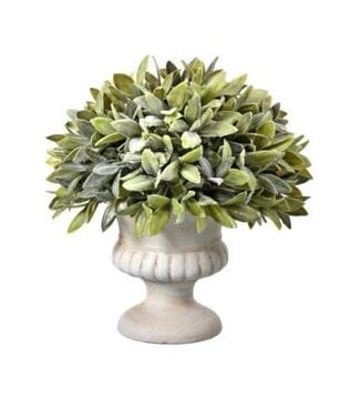 9" Flocked Sage Dome Topiary
