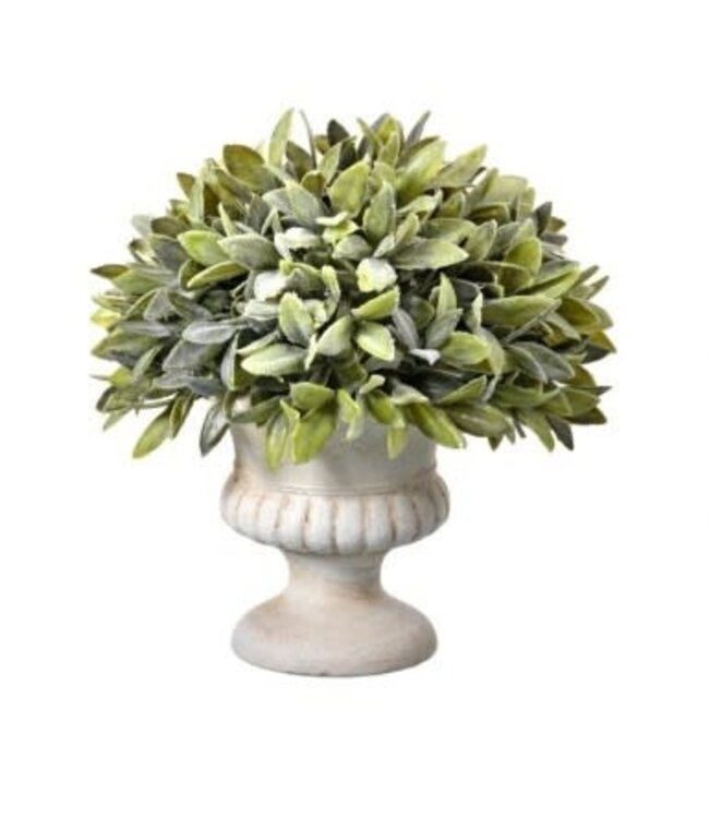 9" Flocked Sage Dome Topiary