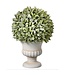11" Flocked Sage Ball in Urn