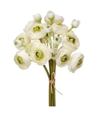 11" Garden Ranunculus Bundle