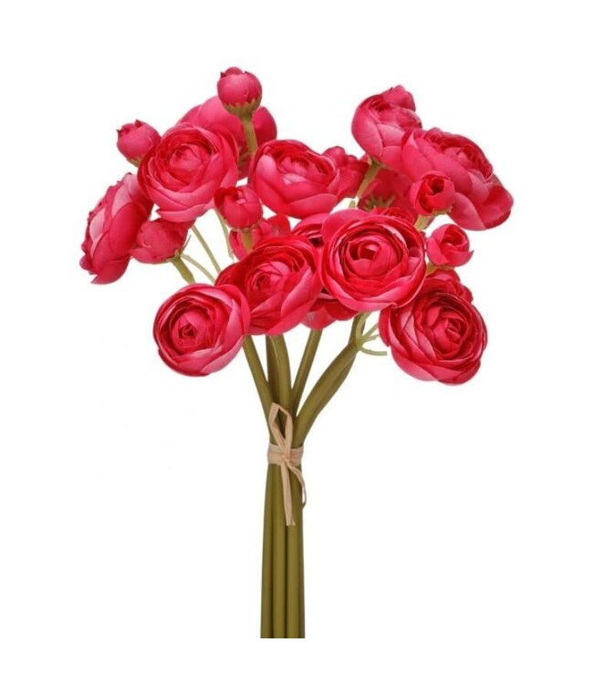 11" Garden Ranunculus Bundle