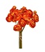 11" Garden Ranunculus Bundle