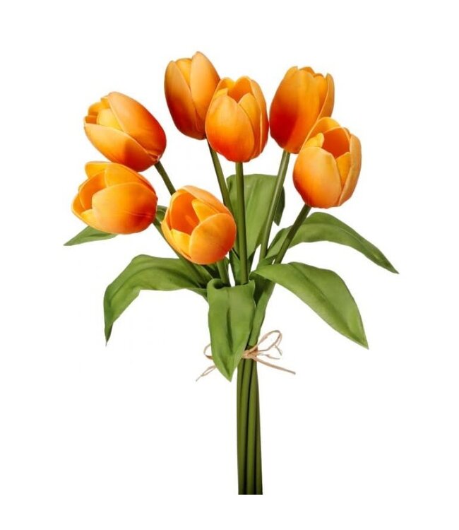 14" Foam Tulip Bundle