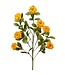 34" Button Zinnia Spray