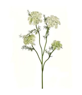 33" Wild Dill Spray White