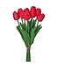 13" Eva Dutch Tulip Bundle