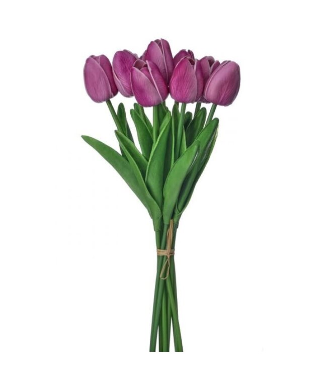 13" Eva Dutch Tulip Bundle
