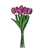 13" Eva Dutch Tulip Bundle