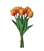 13" Eva Dutch Tulip Bundle