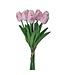 13" Eva Dutch Tulip Bundle