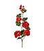 36" UV Summer Trailing Geranium Spray