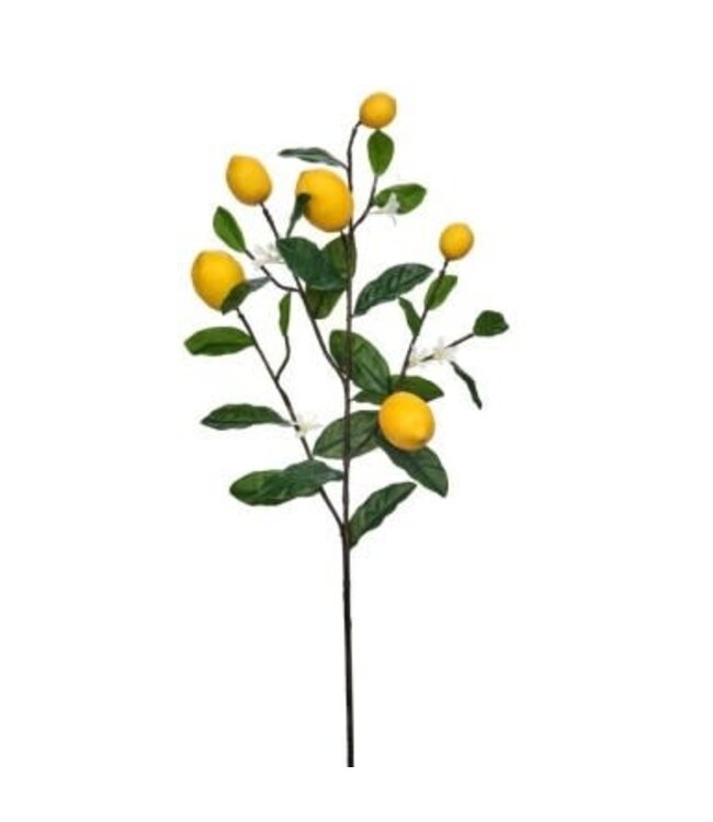 38" Amalfi Lemon Spray