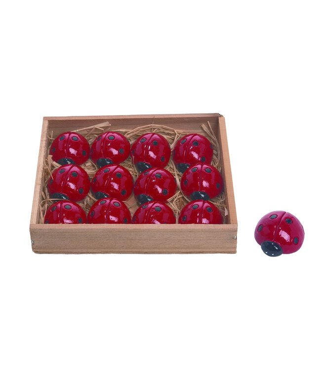 Res Mini Ladybugs In Box