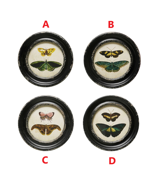 Framed Wall Decor with Moths/Butterflies Image