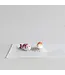 Stoneware Koi Fish Salt & Pepper Shakers - Sold as Set