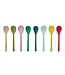 Enameled Stainless Steel Salt Spoon