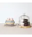 Glass Cloche with Mango Wood Base