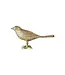 Aluminum Bird