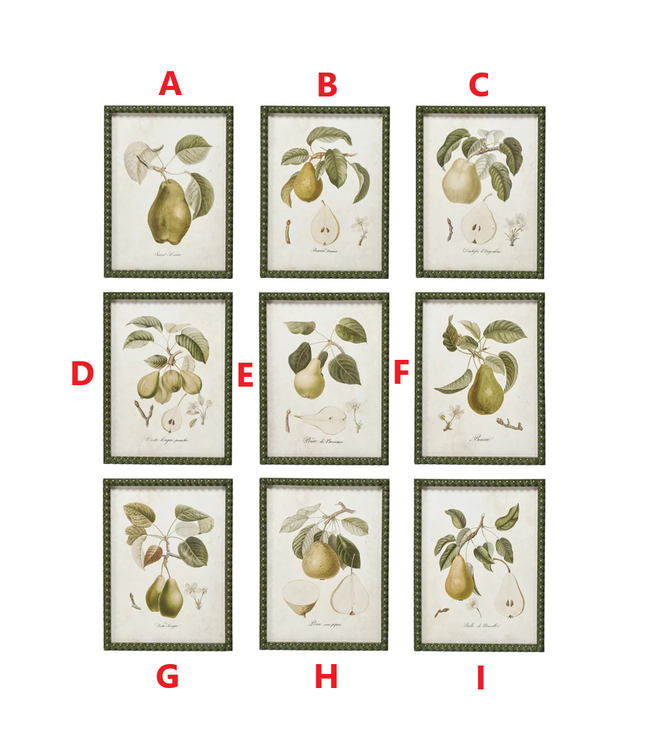 Wood Wall Décor with Pear Image