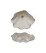 Stoneware Clam Shell Shaped Dish