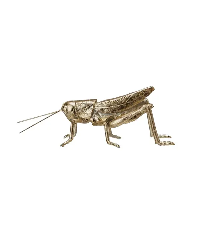 Resin & Metal Grasshopper