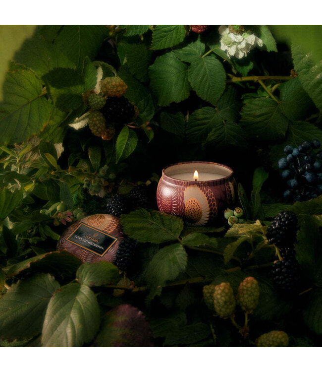 VOLUSPA Foraged Wildberry Mini Tin