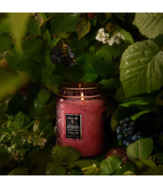 VOLUSPA Foraged Wildberry 18oz Large Jar Candle