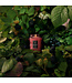 VOLUSPA Foraged Wildberry 5.5oz Small Jar