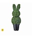 32" UV Boxwood Bunny Topiary