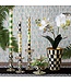 MACKENZIE CHILDS Bands Green Dinner Candles - Sold as Set
