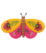 Botanical Butterfly Garden Art Rock