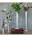 White Tapered Vase