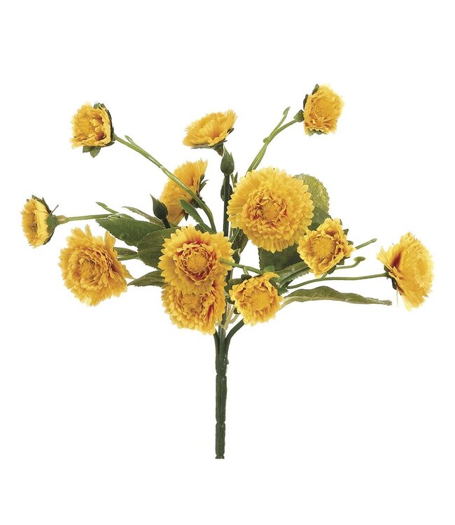 8.5" Calendula Bush