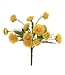 8.5" Calendula Bush