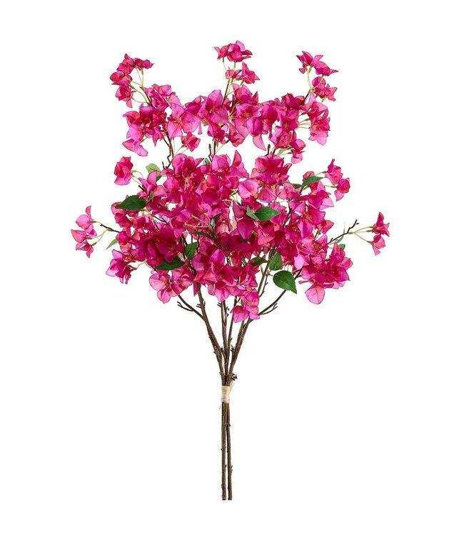 41.5" Bougainvillea Bundle Orchid
