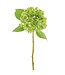 19" Hydrangea Spray
