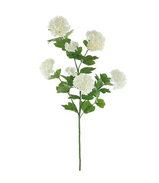 31" Snowball Spray