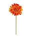 21.5" Medium Gerbera Daisy Spray