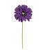 21.5" Medium Gerbera Daisy Spray