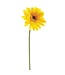 21.5" Medium Gerbera Daisy Spray