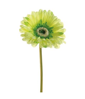 9" Large Gerbera Daisy Stem