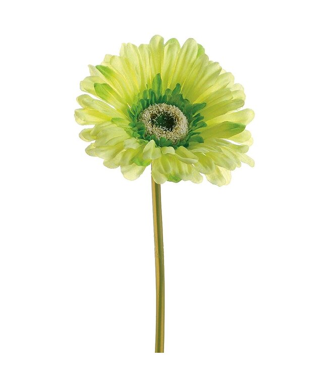 9" Large Gerbera Daisy Stem